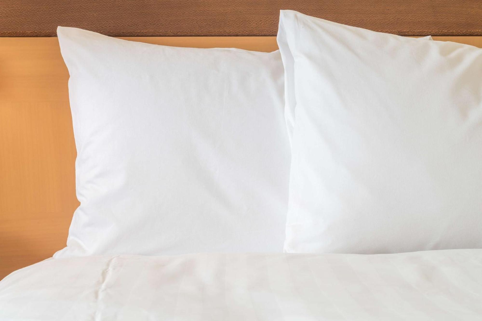 Holiday Inn Cairo Maadi By Ihg Eksteriør bilde